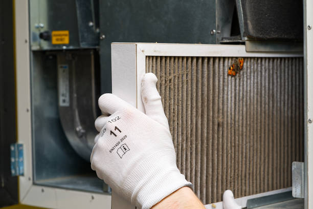 Best Ductwork Cleaning Services  in Weirton, WV