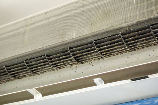 Best Commercial Air Duct Cleaning  in Weirton, WV